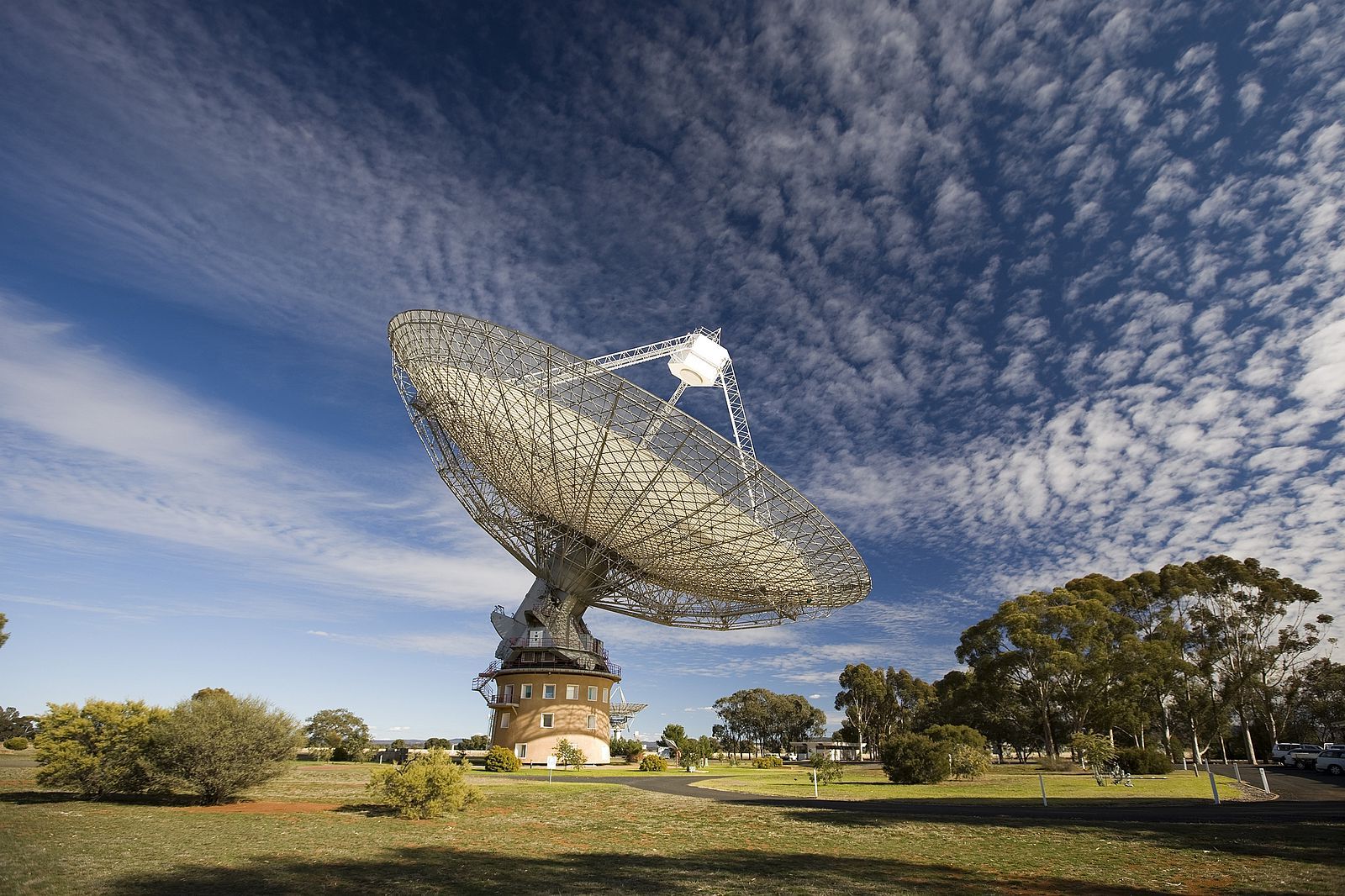 12 Unveiled Facts About Rod Wave Ohmyfacts