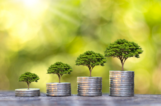 14K In Ira Tax Return