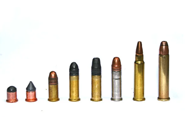 22Lr Vs 223 Same Diameter But Much Different Purpose 22Lr Vs 223 Same Diameter But Much Different Purpose