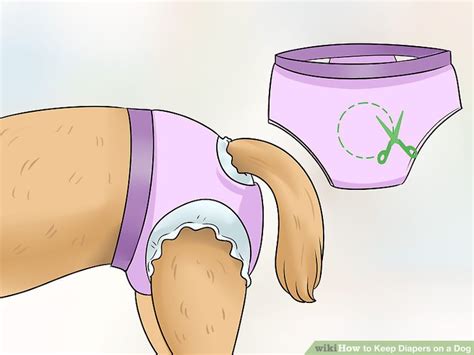 3 Ways To Keep Diapers On A Dog Wikihow