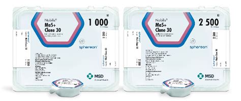 How to Understand and Calculate 30 of 2500 Effectively