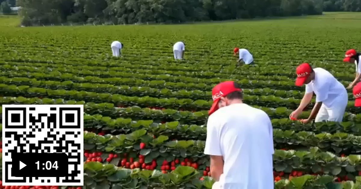 Discover Top aa employment opportunities Today