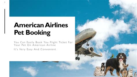 American Airlines Pet Policy Everything You Need To Know American Airlines Pet Policy Everything You Need To Know