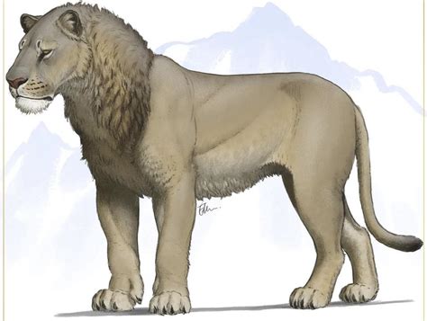 Discover the Secrets of the American Lion Today