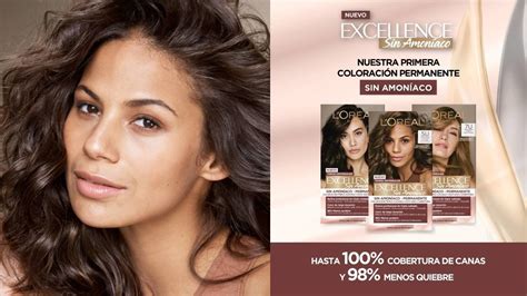 Articles Excellence Project Articles Excellence Project