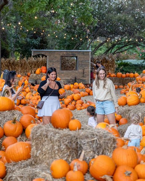 Autumn At The Arboretum Can T Arrive Soon Enough Dallas Favorite Fall Tradition Returns September 20Th Share The News And Get Tickets Available Now At The Link In Bio Keep Autumn At The Arboretum Can T Arrive Soon Enough Dallas Favorite Fall Tradition Returns September 20Th Share The News And Get Tickets Available Now At The Link In Bio Keep