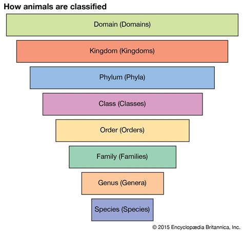 Biological Classification Students Britannica Kids Homework Help