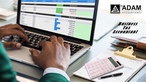 Business Tax Accountant