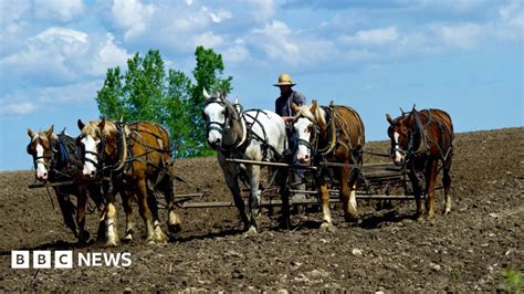 Can This Political Group Get The Amish To Vote For Trump Bbc News