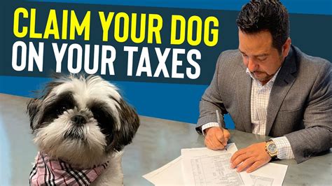 Can You Claim A Dog On Your Taxes