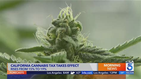 Cannabis Tax Increases For The Second Time This Year July 1St R Sandiego