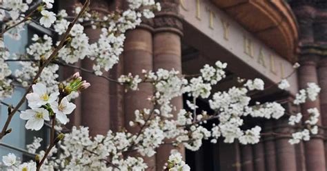 Cincinnati S Budget Is In Trouble A Commission Recommends Income Tax Increase Trash Fee And More R Cincinnati Cincinnati S Budget Is In Trouble A Commission Recommends Income Tax Increase Trash Fee And More R Cincinnati