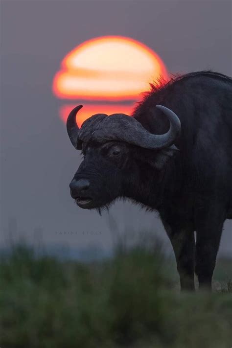 Colorado Income Tax Archives John R Dundon Ii Ea