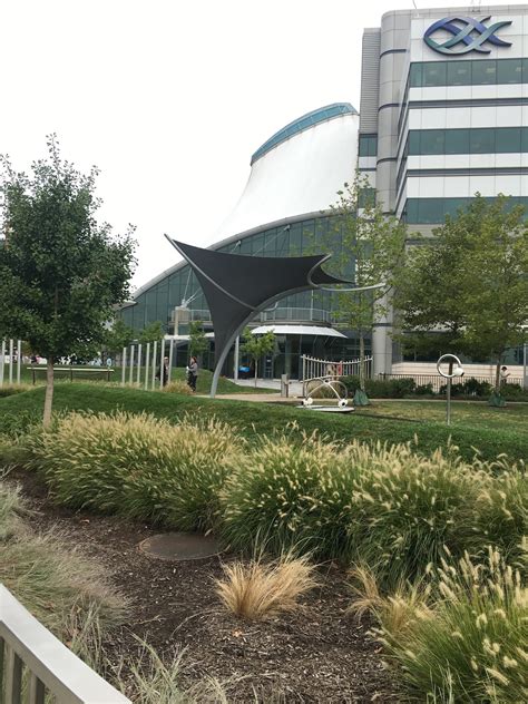 Community Architect Baltimore An X Ray Of Baltimore Community Architect Baltimore An X Ray Of Baltimore