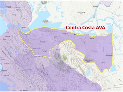 Contra Costa Ava Wikipedia
