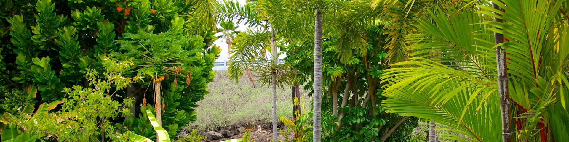 Dallas Arboretum And Botanical Garden Tours Book Now Expedia