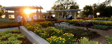 Experience the Benefits of Dallas Arboretum Membership for Garden Enthusiasts