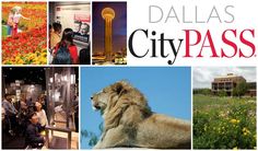 Dallas Texas See Attractions With Citypass