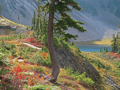 Denver Colorado Tourist Attractions Tourist Destination In The World