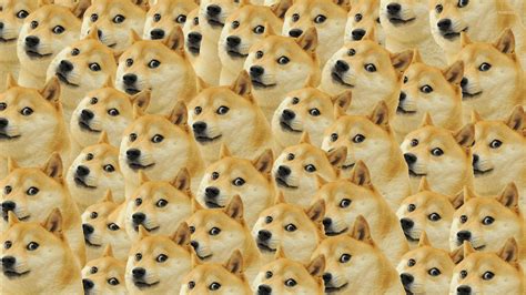 Doge Meme Wallpaper 85 Images
