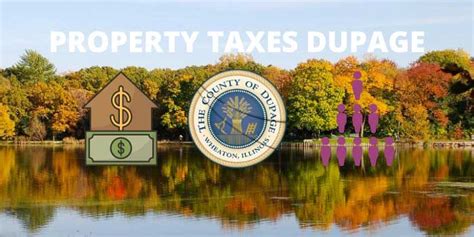 Dupage Taxes