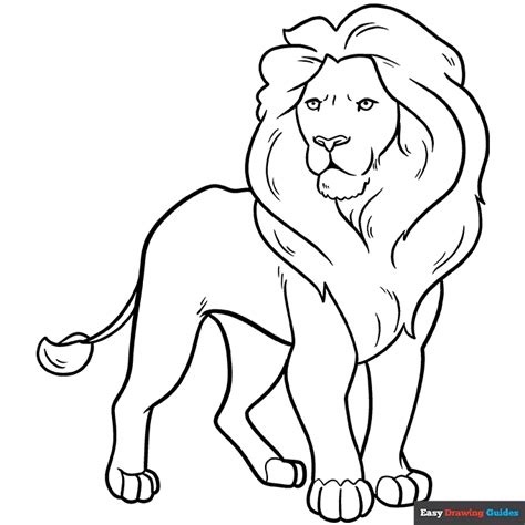 Easy How To Draw A Lion Tutorial And Lion Coloring Page Easy How To Draw A Lion Tutorial And Lion Coloring Page