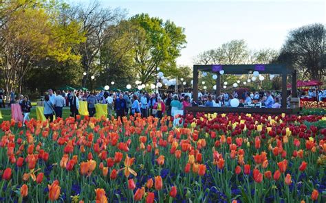 Events Dallas Arboretum