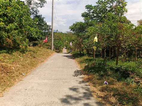 Farm Lot Tranka Batangas Near Road 7 Hectares Beautiful Taxes Are Farm Lot Tranka Batangas Near Road 7 Hectares Beautiful Taxes Are