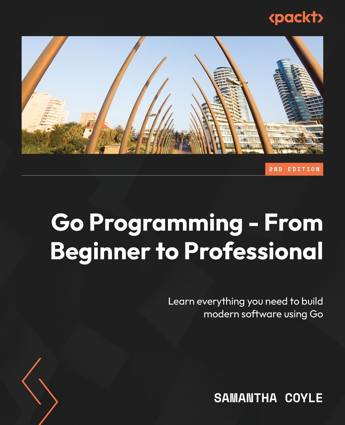Go Programming From Beginner To Professional Programming Paperback