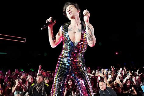 Maximizing Earnings: The Financial Impact of Harry Styles in Tour
