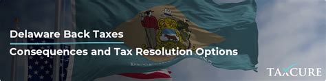 How Can I File My Back Taxes In Delaware