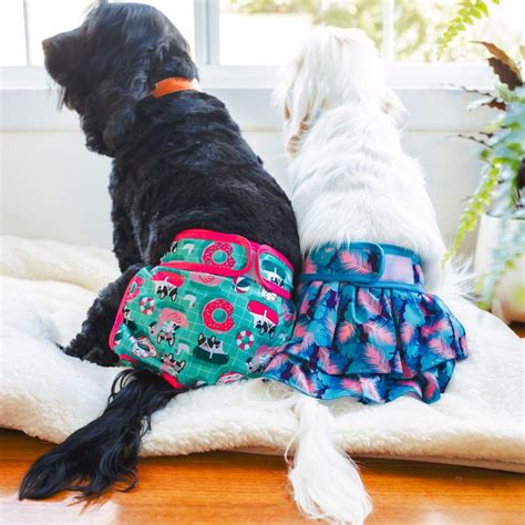 How To Choose The Best Dog Diapers The Complete Guide