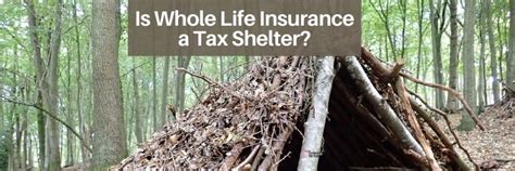 Is Whole Life Insurance A Tax Shelter The Insurance Pro Blog