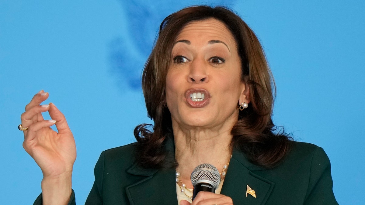 Kamala Harris Proposed New Ideas On Taxes This Week Here S What She Said