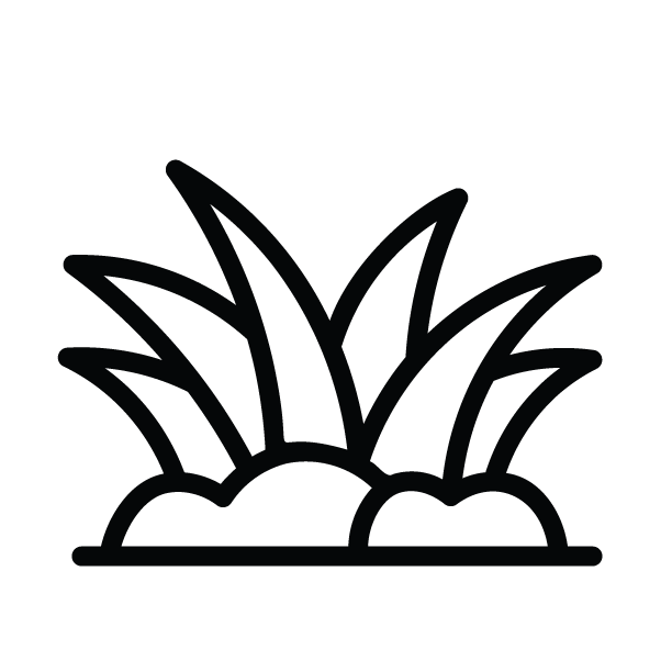 Let S Get Your Yard Looking Right With The Help Of All Star Turf Pros Time To Enjoy Your Adult Kid And Pet Friendly Maintenance Free Lawn This Summer Let S Get Started Call 951 531 4779 To Let S Get Your Yard Looking Right With The Help Of All Star Turf Pros Time To Enjoy Your Adult Kid And Pet Friendly Maintenance Free Lawn This Summer Let S Get Started Call 951 531 4779 To