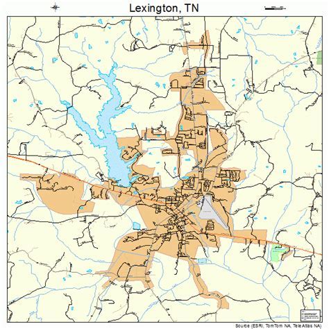 Lexington County Tax Map