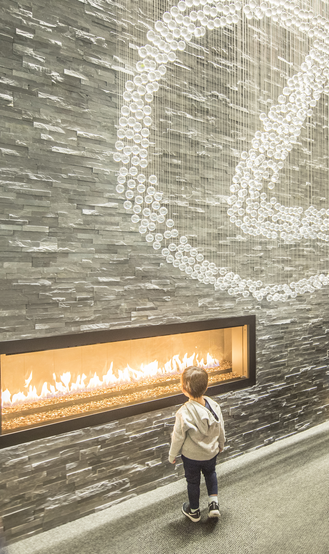 Quick Tips to Join and Thrive in Lexus Club Today