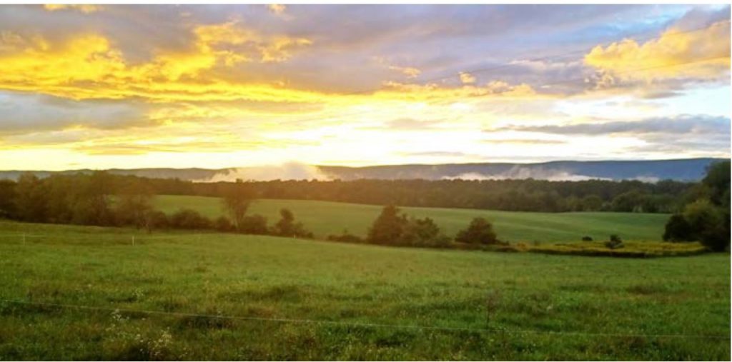 Loudoun County 2023 Situation Analysis Report Vce Publications Virginia Tech Loudoun County 2023 Situation Analysis Report Vce Publications Virginia Tech