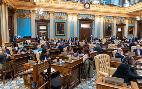 Lowering Costs Michigan Senate Democrats