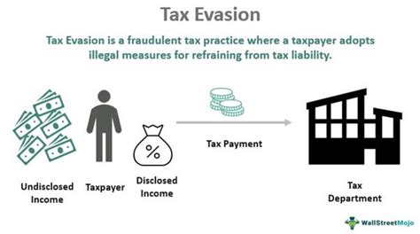 What Is the True Meaning of Tax Evasion and Why Does It Matter?