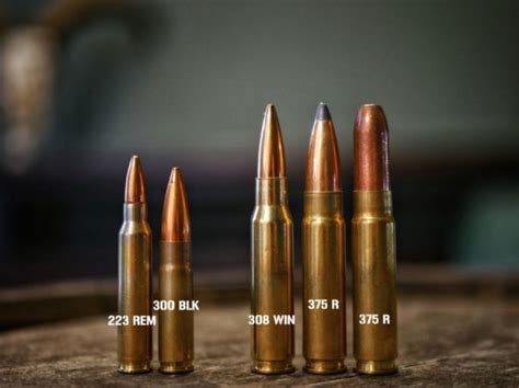 Meet The 375 Raptor A Heavy Hitting Short Action Cartridge The Truth About Guns