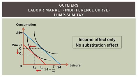 Micro Labour Market Indifference Curve Lump Sum Tax