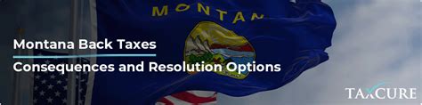 Montana State Taxes Resolution Options And Consequences