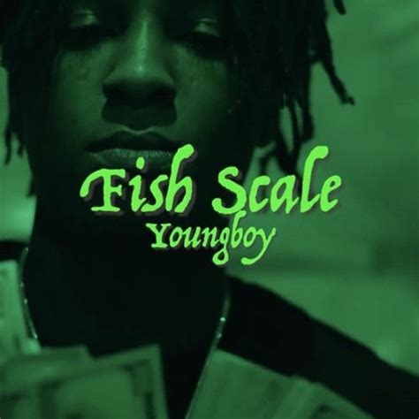 Nba Youngboy Fish Scale Video Nba Youngboy Fish Scale Video