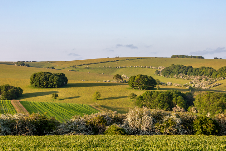 New Policy For Non Payment Of Property Taxes