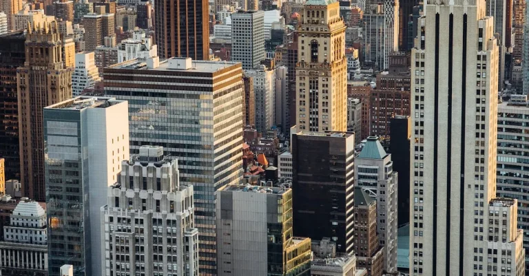 New York City School Tax Credit