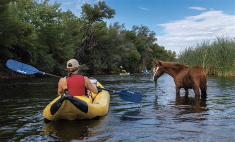North Denver S Green Space Paradox High Country News