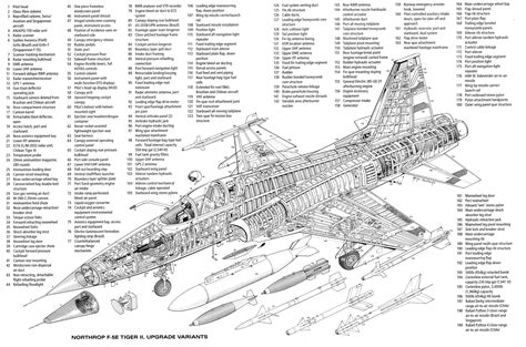 Northrop F 5E Tiger Ii Light Fighter 2500X1654 R Thingscutinhalfporn Northrop F 5E Tiger Ii Light Fighter 2500X1654 R Thingscutinhalfporn