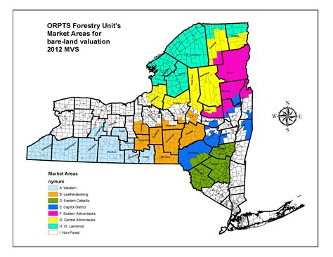 Tracing the Origin and Evolution of the NY Tax Map