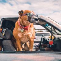 Online Vehicle Tax And Tags Calculators Dmv Org